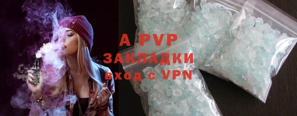 сатива Аркадак