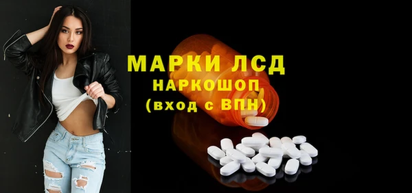 сатива Аркадак