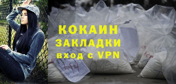 твердый Арсеньев