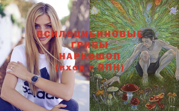 сатива Аркадак