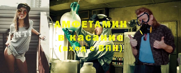 сатива Аркадак