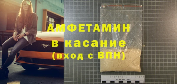 твердый Арсеньев